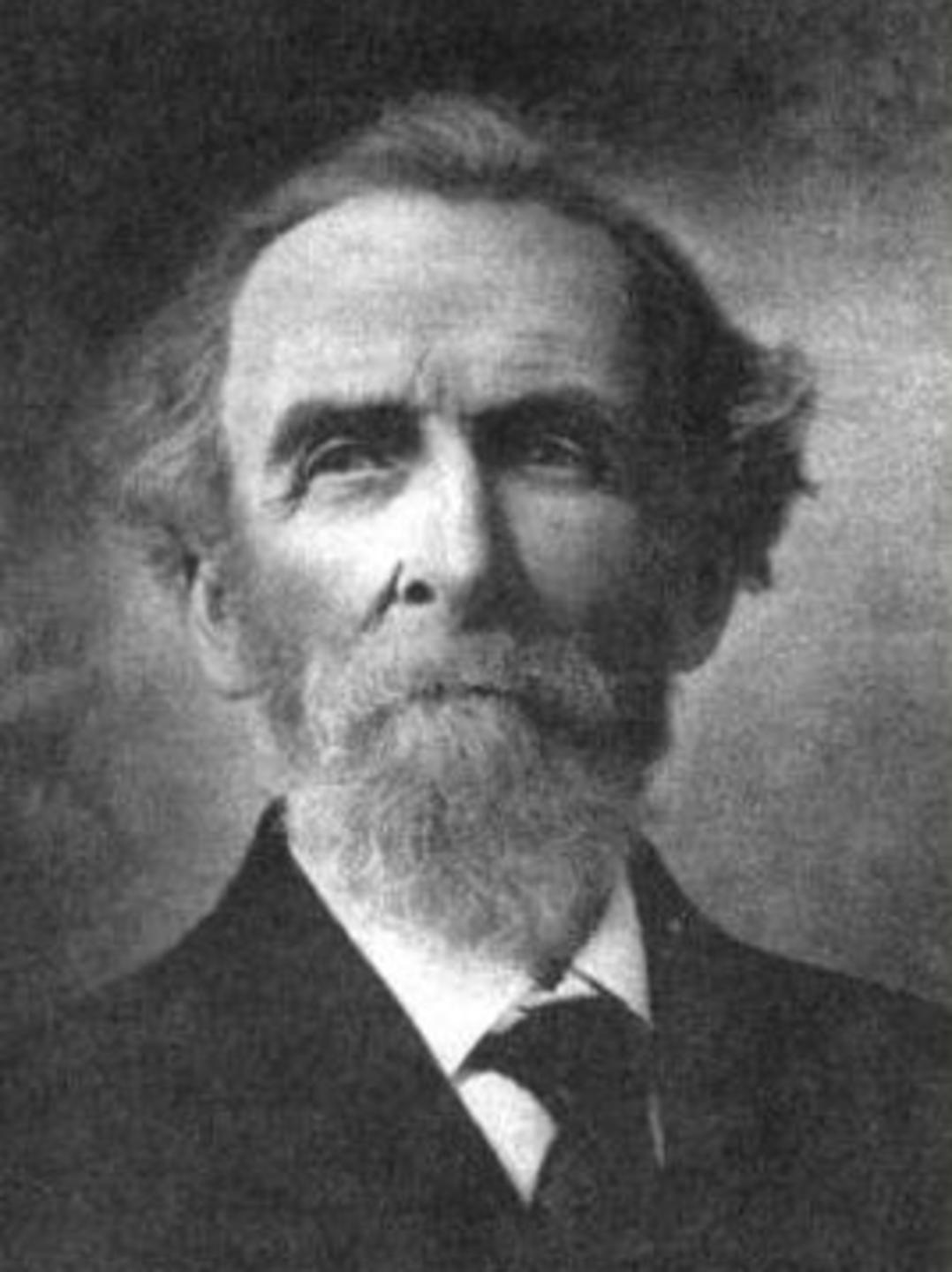 Stephen Washburn Chipman (1829 - 1926) Profile